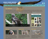 Wind Over Wings website